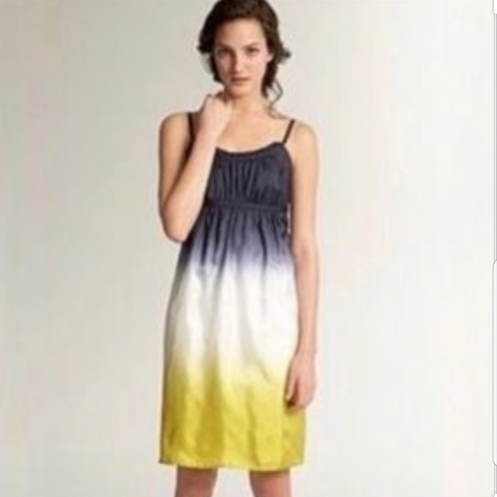 ✔Ann Taylor Loft Ombre' Silk Dress 